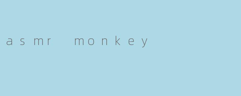 asmr monkey